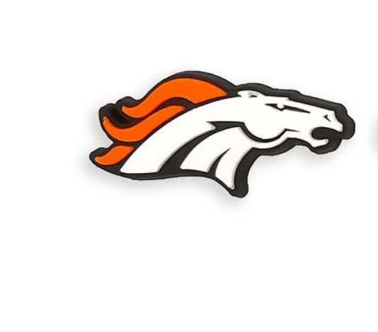 Denver Broncos NFL Dog Charm-Bloomingtails Dog Boutique